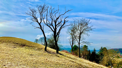Achatfelsen (Feuerfelsen) - Visual