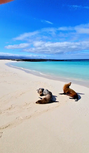 Galapagos Eco Friendly