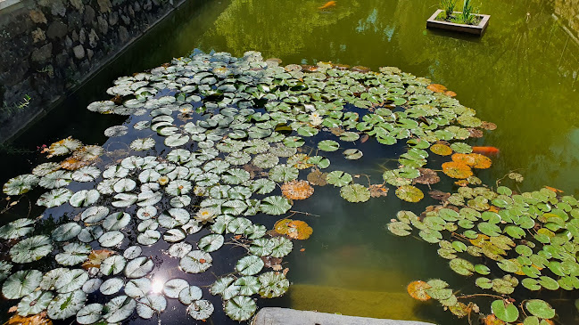 Numéro de téléphone de Jardin botanique de la Faculté de Santé, département Pharmacie d'Angers