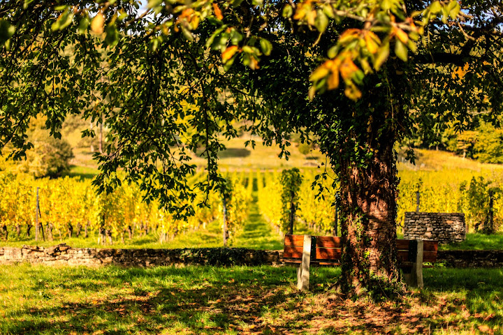 Domaine Les Béliers by null