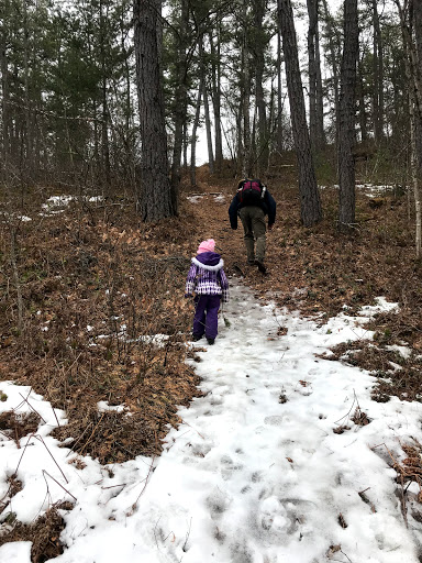 Waterboro Barrens Preserve - Thumbnail