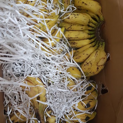 Photos of JOMONA STORE