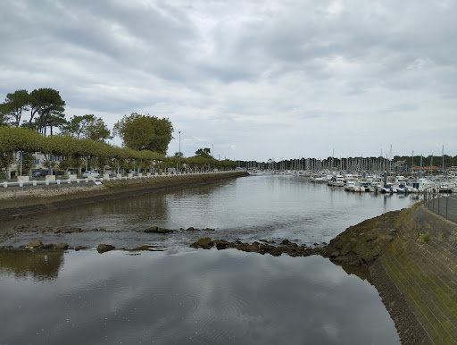 Capbreton - Bonamour - Thumbnail