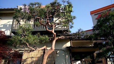 Photos of Matsumoto Back Packers