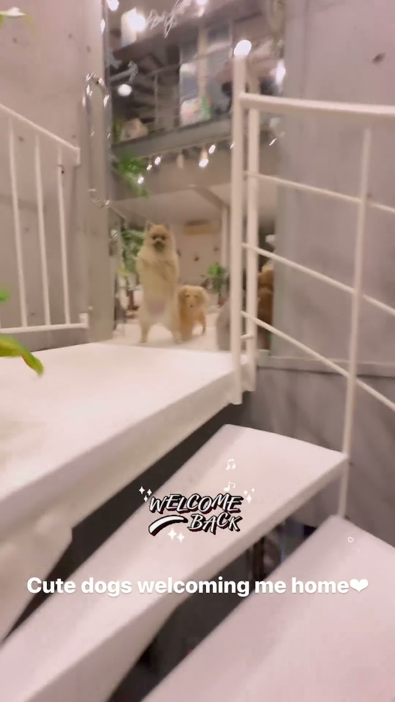 ペットホテル Wanko-inn (ワンコイン)