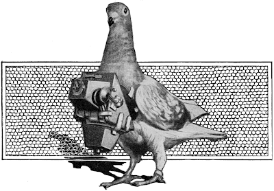 Museum of Pigeon Robotics