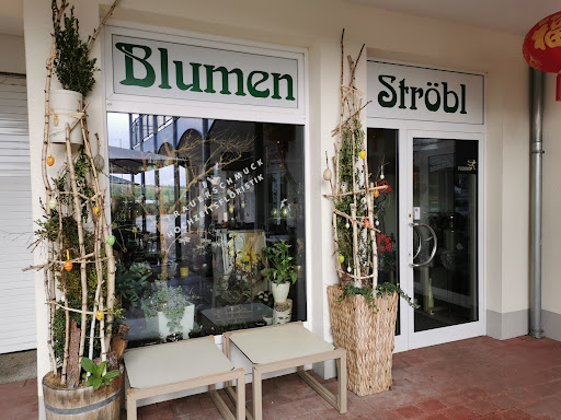 Blumen Ströbl - Visual