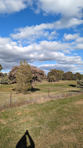 Strathbogie Recreation Reserve - Thumbnail