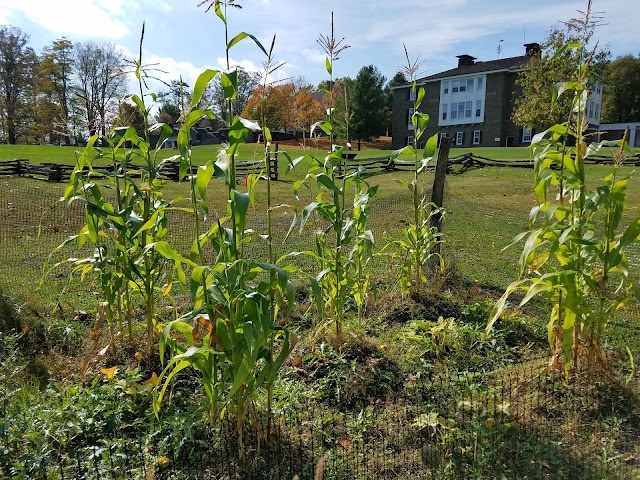 Fenimore Art Museum