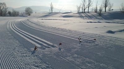 Photos of Kandilli Kayak Merkezi - EYOF 2017 - Biathlon - Kayaklı Koşu