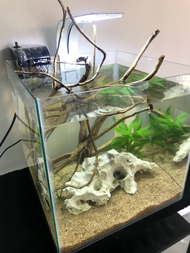 AquaPets - Visual