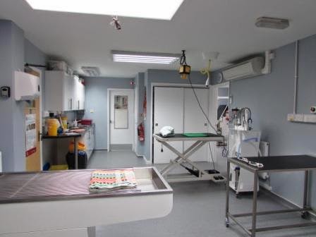 Deane Vets - Visual