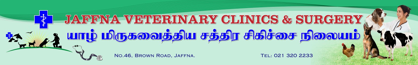 Jaffna Veterinary Clinic & Surgery Pvt, Author: livestock animal