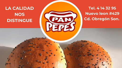 PAN PEPES - Visual