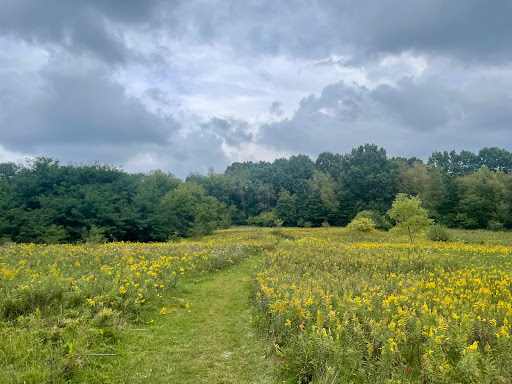 Deerfield Hills Nature Area - Thumbnail