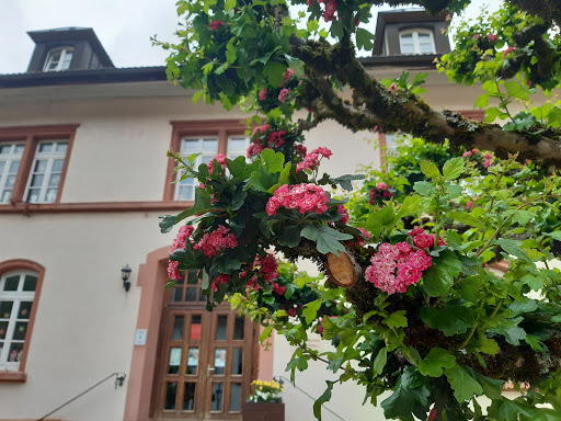 Silberbergschule