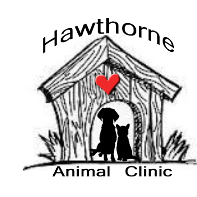 Hawthorne Animal Clinic