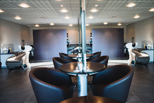 Photo n°17 de Edi'Coiff à Pau (Magasin de produits de beauté)