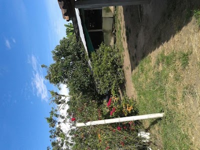Photos of Educational Institution La Palmilla