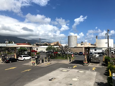 Maui Oil Company Inc