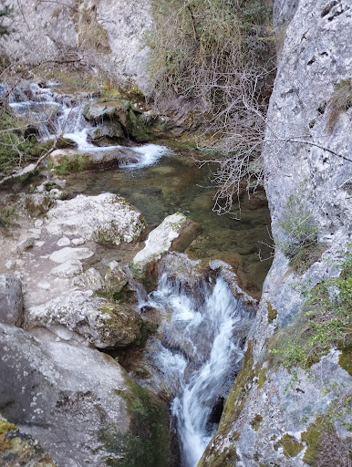 Poza Río Purón