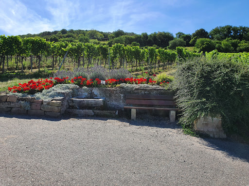 Weingut Hitziger Gallery - Germany