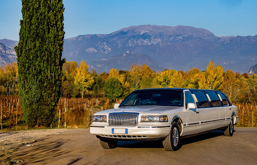 Iris Limousine - Visual