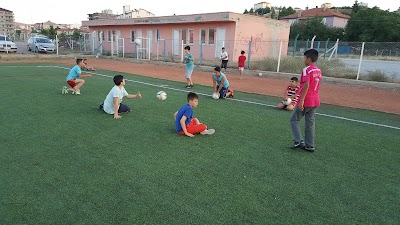 Football field