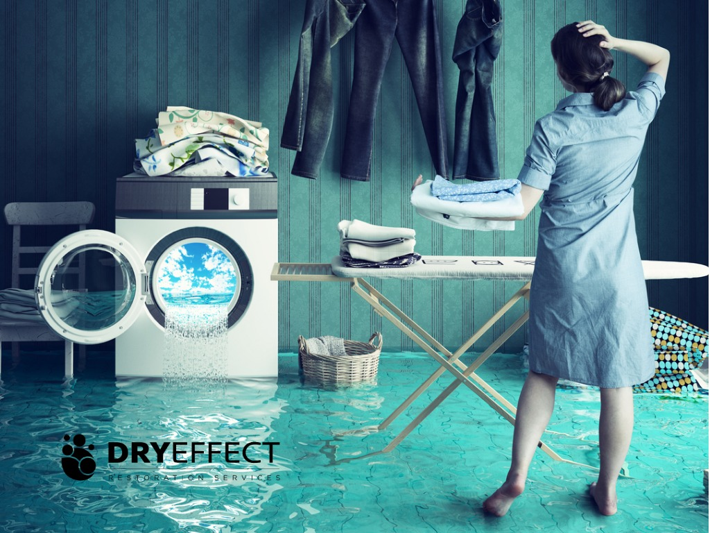 Dry Effect photo