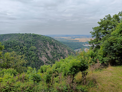 Bodetal - Information THALE - Thumbnail