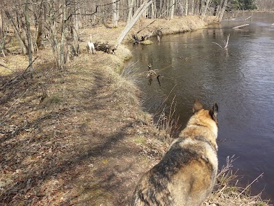 Photos of Bowman Bridge River Access