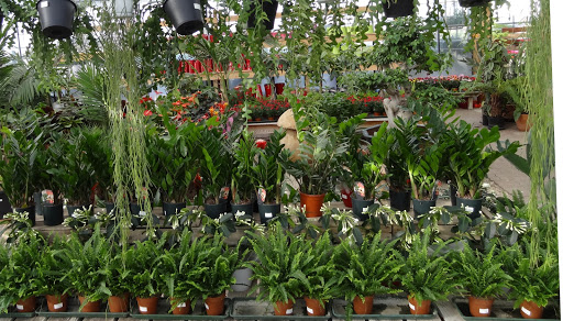 Les Jardins de Saint Eloy - Thumbnail
