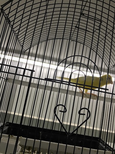 Photos of Aelchenov Fish Trading and live birds and animals