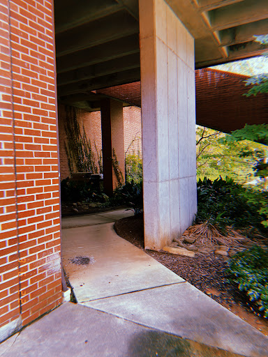 Hunter Library - Visual