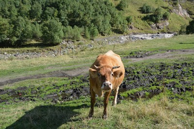 Photos of Dzhily-Su (Goryachiye Istochniki)