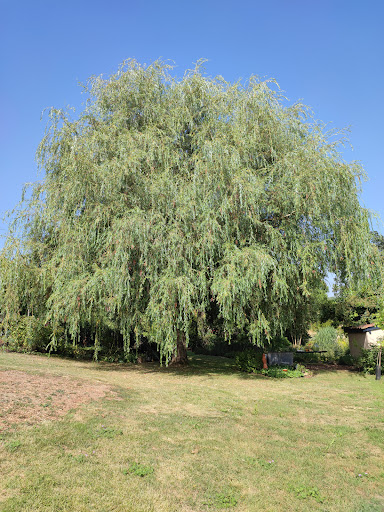 entêoulet Garden Logo