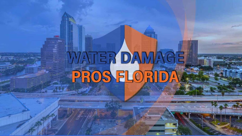 Water Damage Pros FL photo