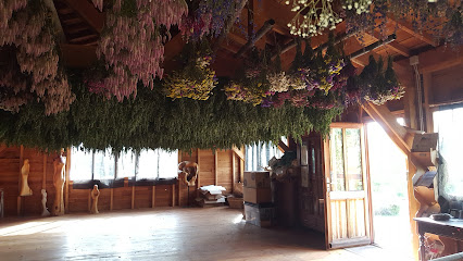 Fleurs Et Tisanes