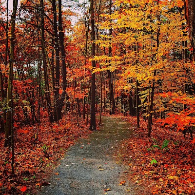 Photos of Shaver's Creek Environmental Center