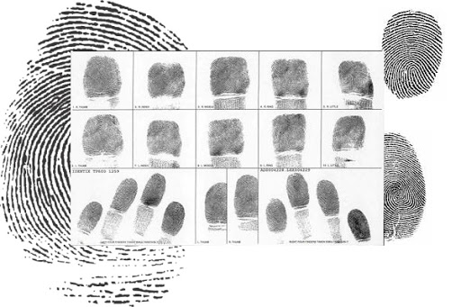 Fingerprinting Cambria Heights - Thumbnail