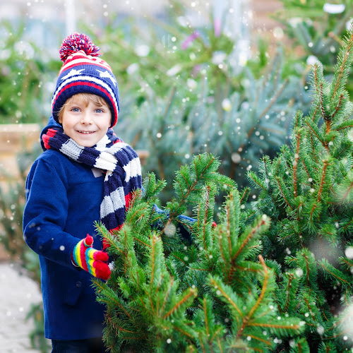 Gardening Schliebener GbR