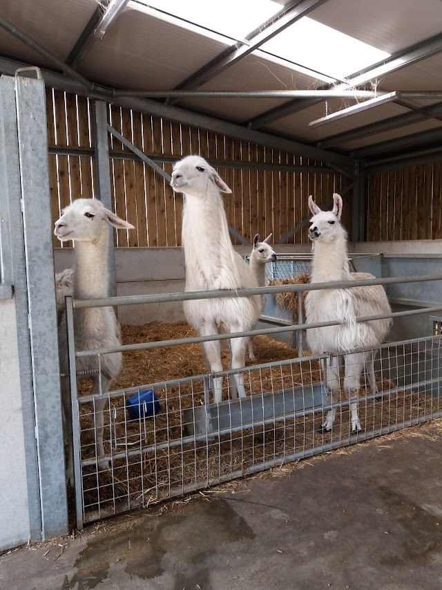 Thornton Hall Farm Country Park