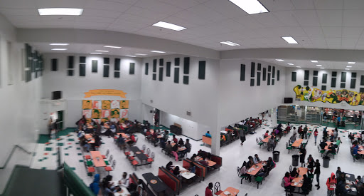 Blanche Ely High School - Thumbnail