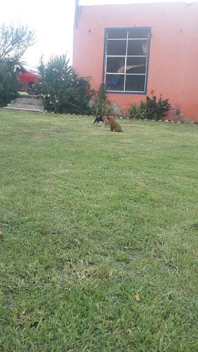 Quinta Ma Licha - Thumbnail