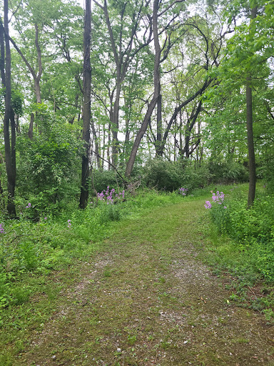 Doubs Woods Park