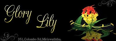 Photos of Glory Lily