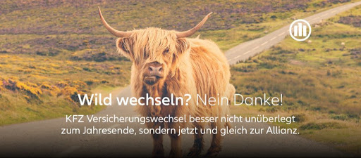 Allianz Versicherung Generalvertretung Kielwater oHG - Thumbnail