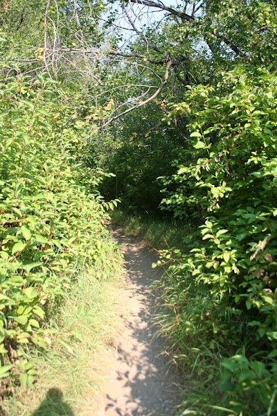 West Fork Mink Creek Trailhead