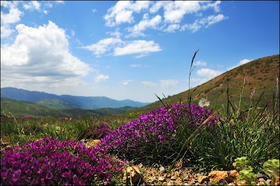 Photos of Jahan Nama Protected Area