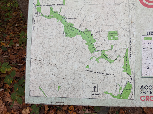 Sally Ormsby Park - Visual